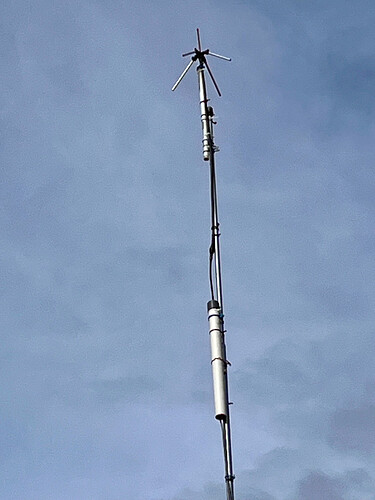 finally, standing on a galvalum pipe, around 15 m from ground