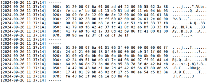 2024BlueBird-5decodes