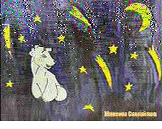 202411160943