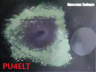 202411161130 PU4ELT + UP
